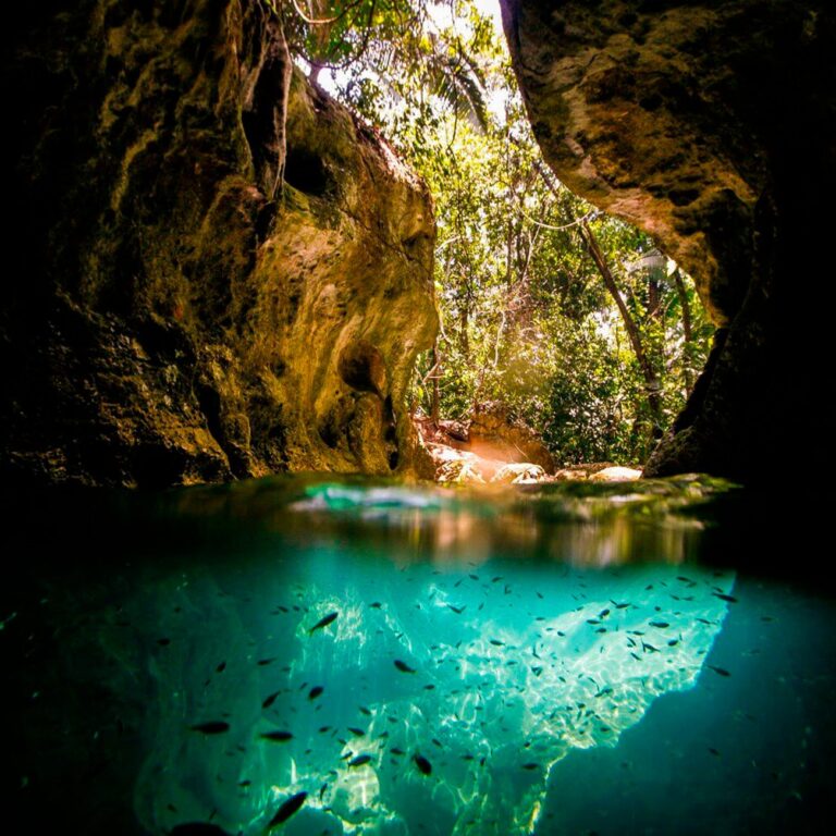 PETAR: Um tesouro natural no coração do Vale do Ribeira que merece ser visitado